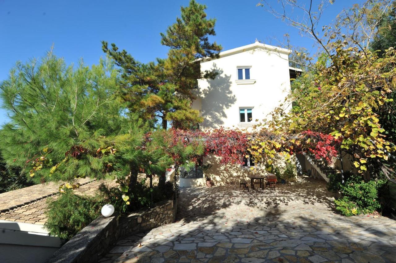 Villa Theodora View Apartments Afroditi 아기오스 게오르기오스 파곤 외부 사진